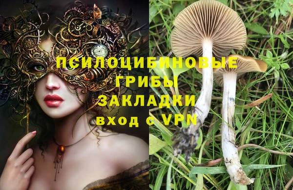 твердый Алексеевка