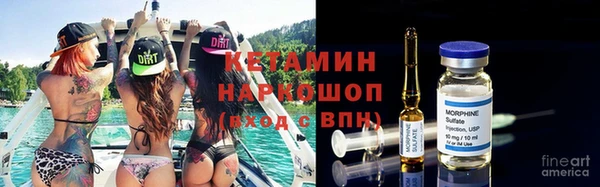 гашик Алексин