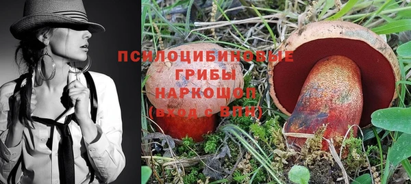 мет Алзамай