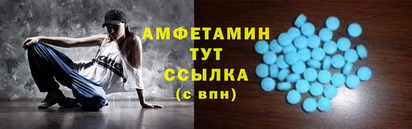 гашик Алексин
