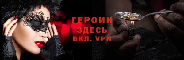 гашик Алексин