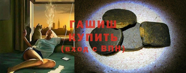 гашик Алексин