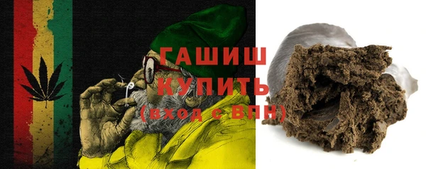 гашик Алексин