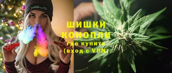 гашик Алексин